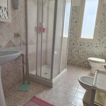 Il Fenicottero